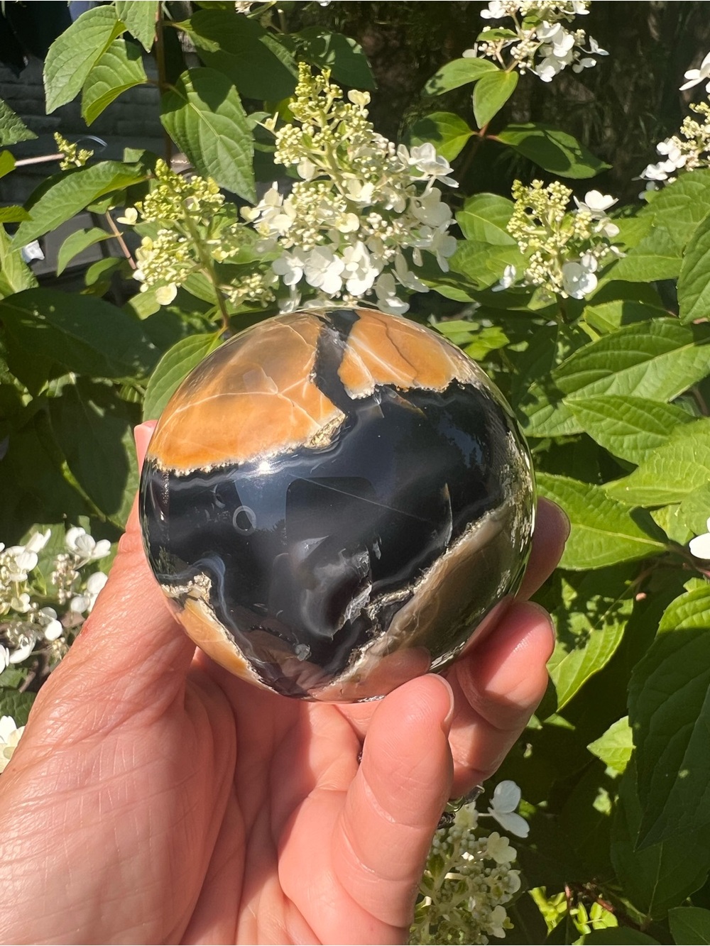 Volcanic (23) agate sphere | crystal ~ uv reactive